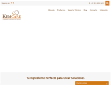 Tablet Screenshot of kemcare.com.mx